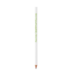 BIC®  Evolution® Classic Cut Ecolutions® crayon - 3460001150-SP
