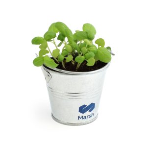 Kit de plantation pot zinc 7 cm - Ref. IDG17-2