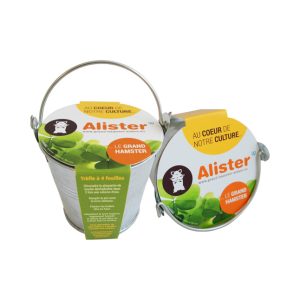 Kit de plantation pot zinc 8 cm - Ref. IDG17-3