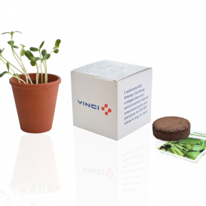 Cube plantation Ø10 cm Ref. - IDG18B
