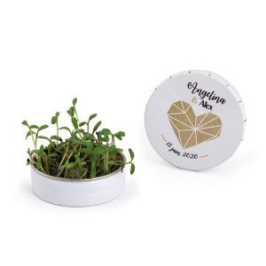 Boit clic-clac Kit de plantation - Ref : IDG59