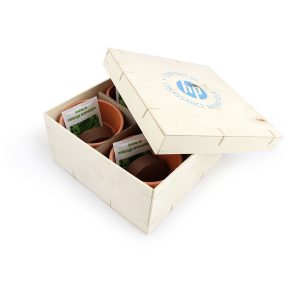 Coffret Aromatique Bois - Ref. IDG61