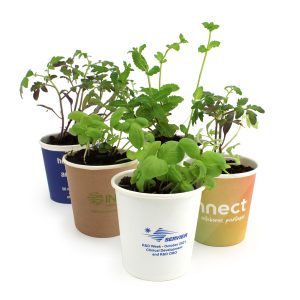 Kit plantation pot carton Ref. - IDG69