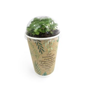 Smoothie à graines - Ref : IDG73