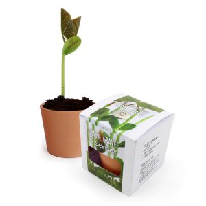 Kit de plantation graine gravée - Ref. IDG75GG