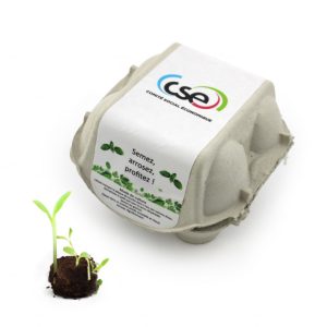 Palet à graine en boite à oeuf - Ref. IDG86B