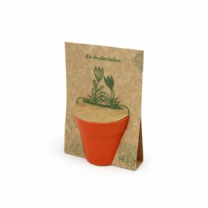 Carte pot bambou Ref. - IDG93