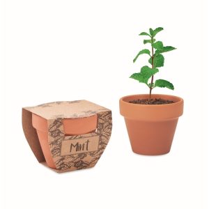 MINT POT - Ref MO2218