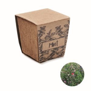 MINT KIT - Réf. MO2410
