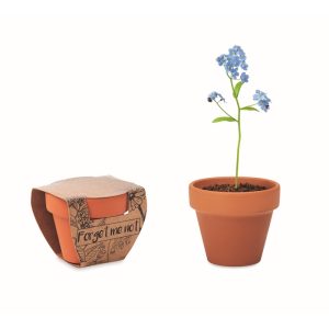 FORGET ME NOT - Ref MO6146