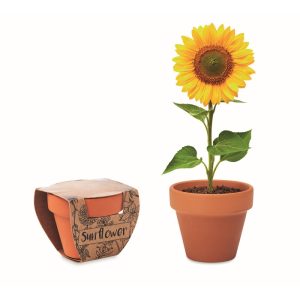 SUNFLOWER - Ref MO6147