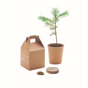 GROWTREE™ - Ref MO6228