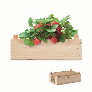STRAWBERRY - Ref MO6506