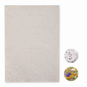 ASIDI - Ref MO6914