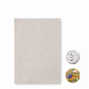 ASIDO - Ref MO6916