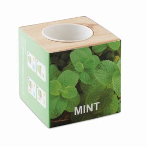 MENTA - Ref MO9337