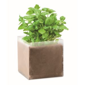 BASIL - Ref MO9545