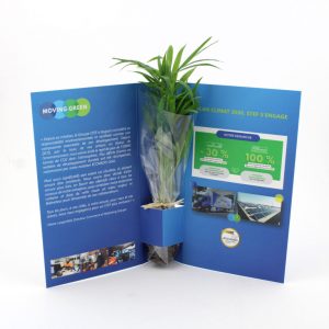 Plante postale Ref. - MP01