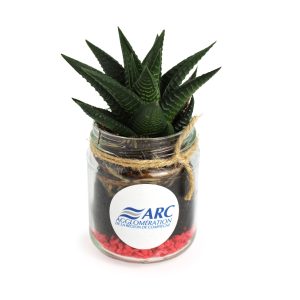 Plante en bocal - Ref. MP03B