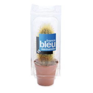 Mini serre 1 pot cactus - Ref. MP09