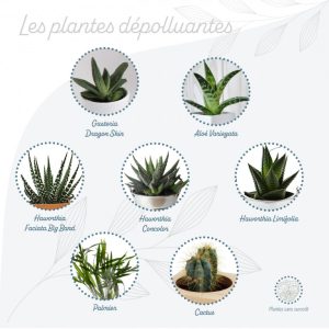Pots en toile de jute - Ref. MP13J
