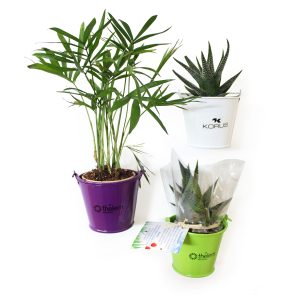 Plante en pot zinc aimanté - Ref : MP19B
