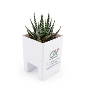 Le Pot ' Ordi - Ref. MP21