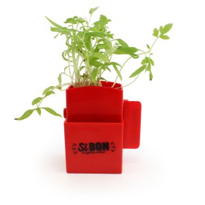 La Végétal- Box Kit - Ref. MP25G