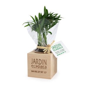 Cube Bois Arbre - Ref. MP26