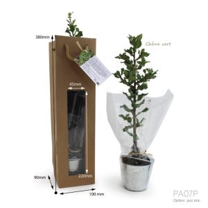 Plant d'arbre en sac kraft - Résineux - Ref. PA07R