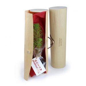 Plant d’arbre en tube bois - Ref : PA11