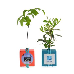 Cube arbre  - Ref : PA14R
