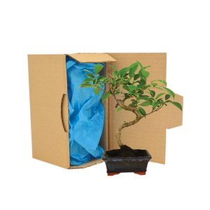 Bonsaï en carton - Ref. PL08