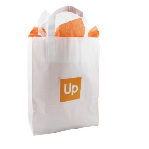 Bonsaï en sac kraft - Ref. PL09