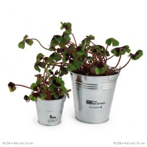 Trèfles à 4 feuilles poussés pot zinc Ø10 cm Ref. - PL13B