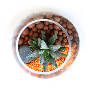 Terrarium Petit modèle - Ref. PL26B