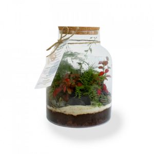 Terrarium - Modèle confort - L Ref. - PL30L