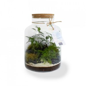 Terrarium - Grand modèle - XL Ref. - PL30XL