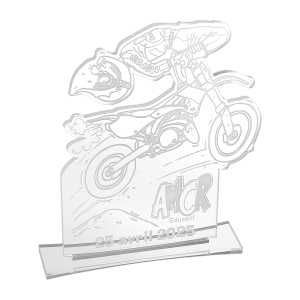 Trophée L10 X H15 Cm - Réf Y639N