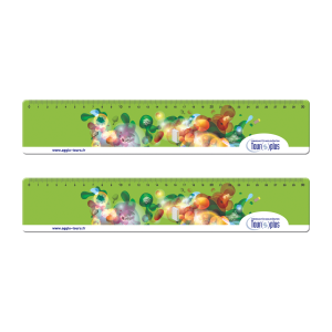 Règle Souple 30cm (Ep 1mm) - Réf Y834N