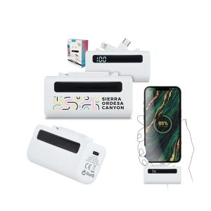 Batterie externe